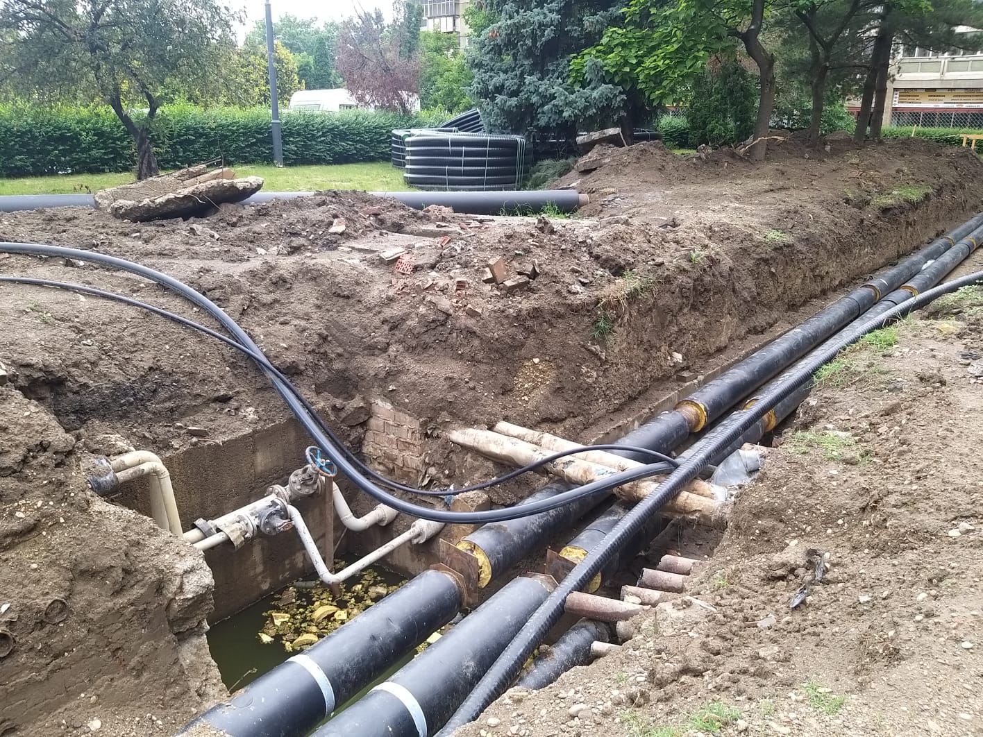 WhatsApp Image 2023-06-06 at 11.57.40