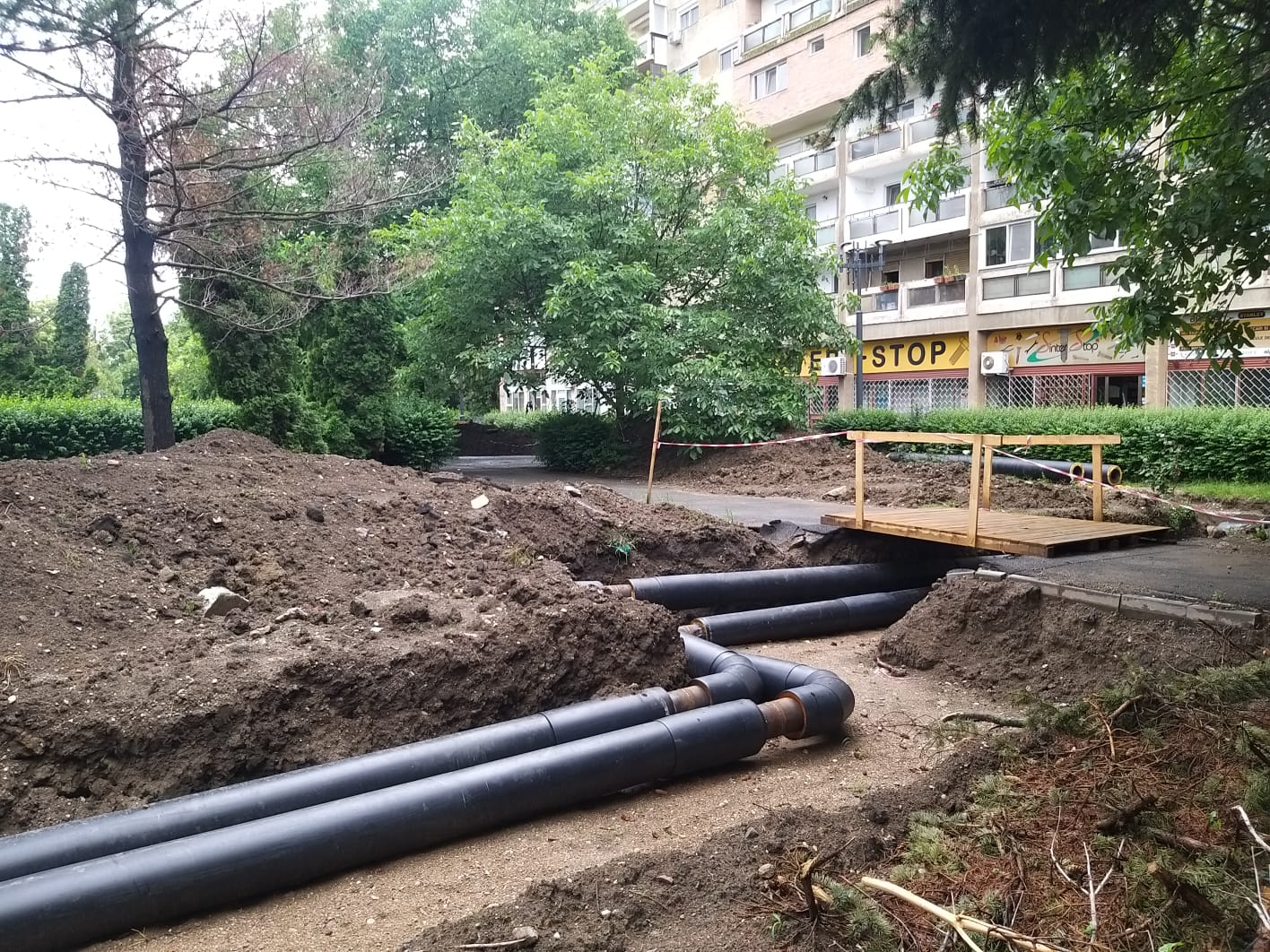 WhatsApp Image 2023-06-06 at 11.57.41 (3)