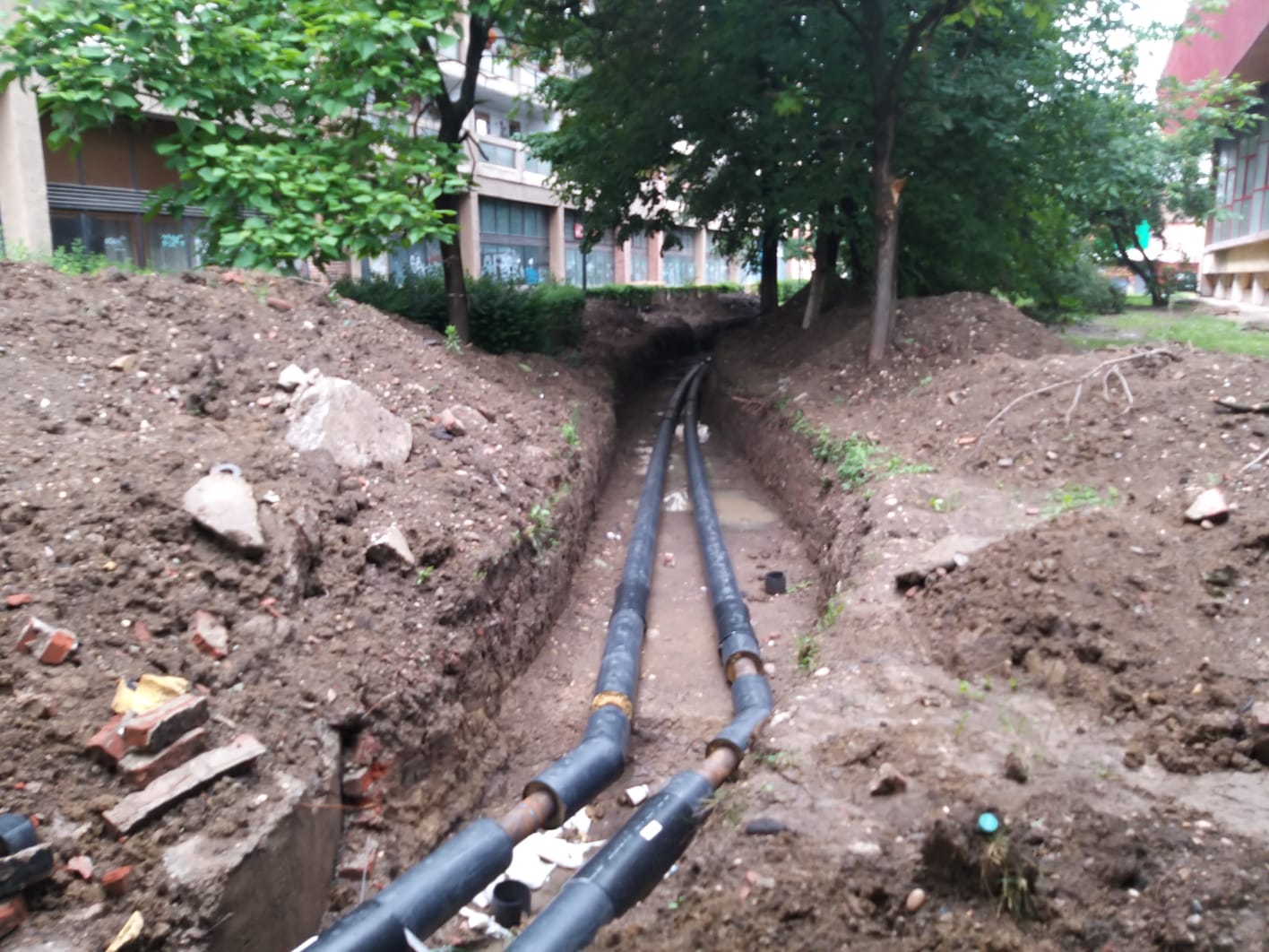 WhatsApp Image 2023-06-06 at 11.57.41 (4)