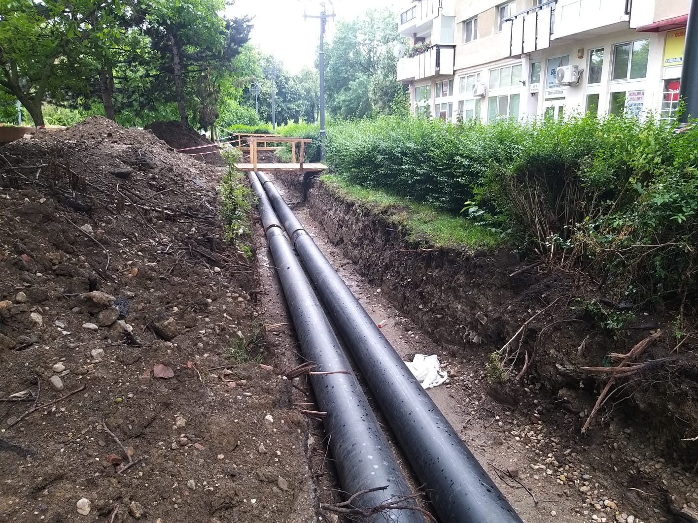 WhatsApp Image 2023-06-06 at 11.57.43