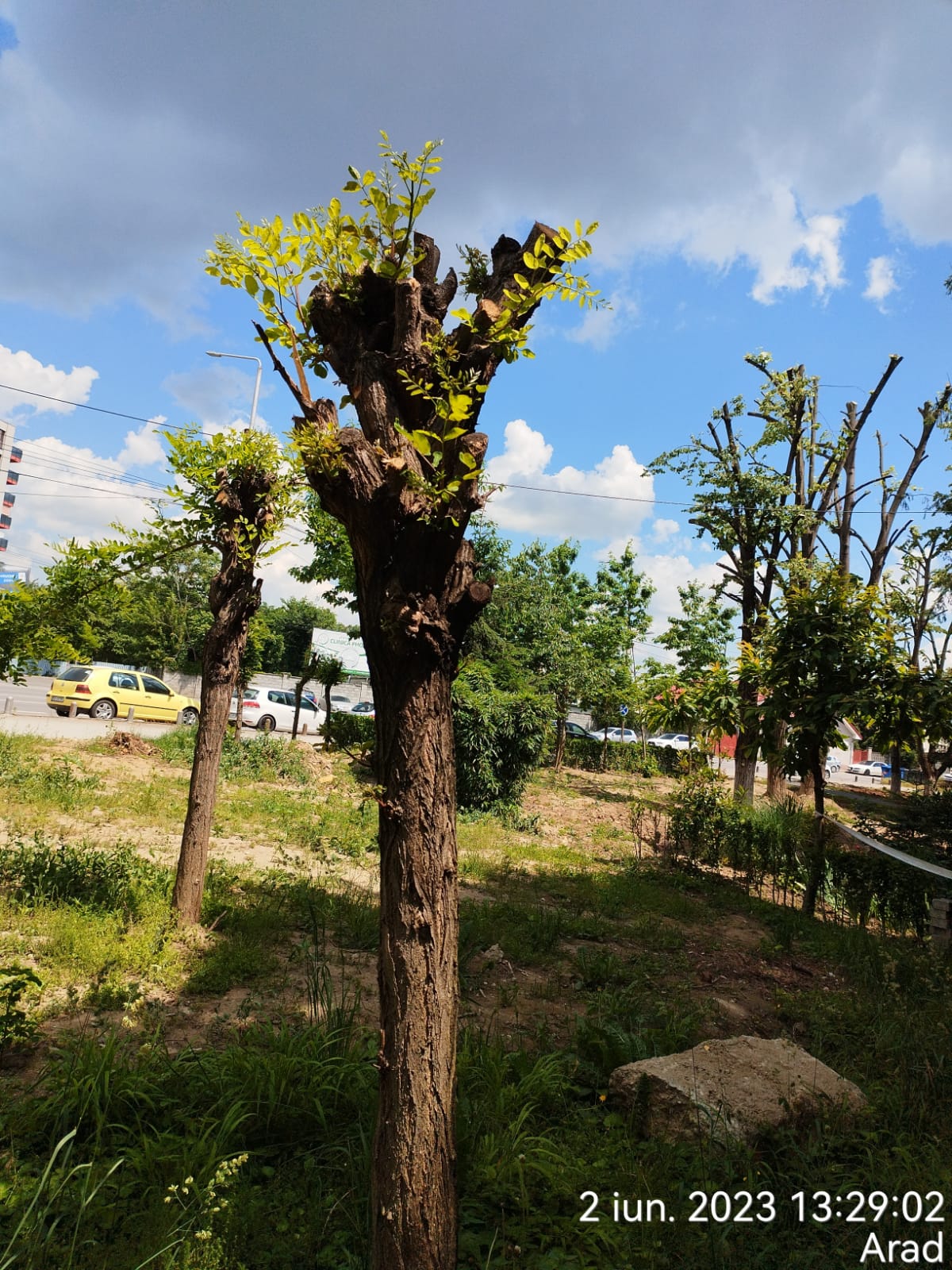 0ef09cfe-ea7a-4efa-8f71-ec65f546ec30