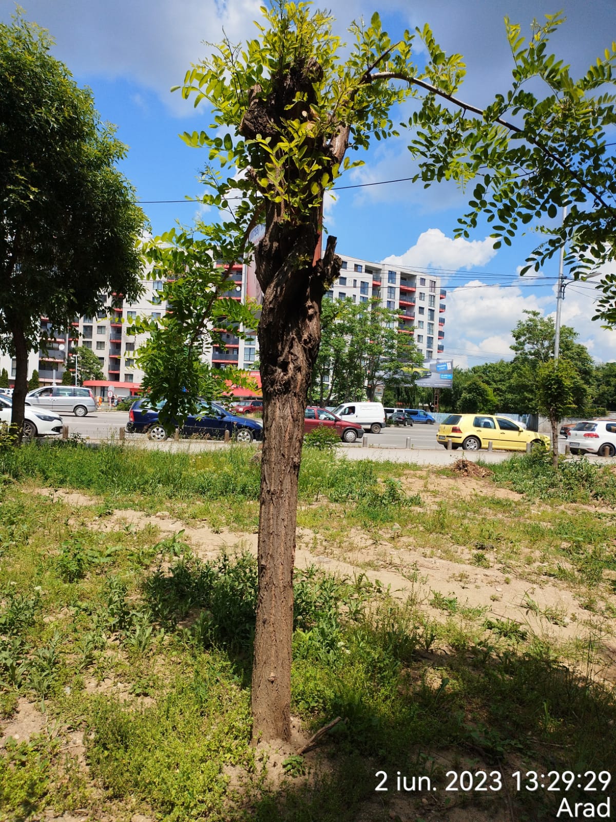 6c860346-6bd8-489b-b0db-0bef0d1e5e24