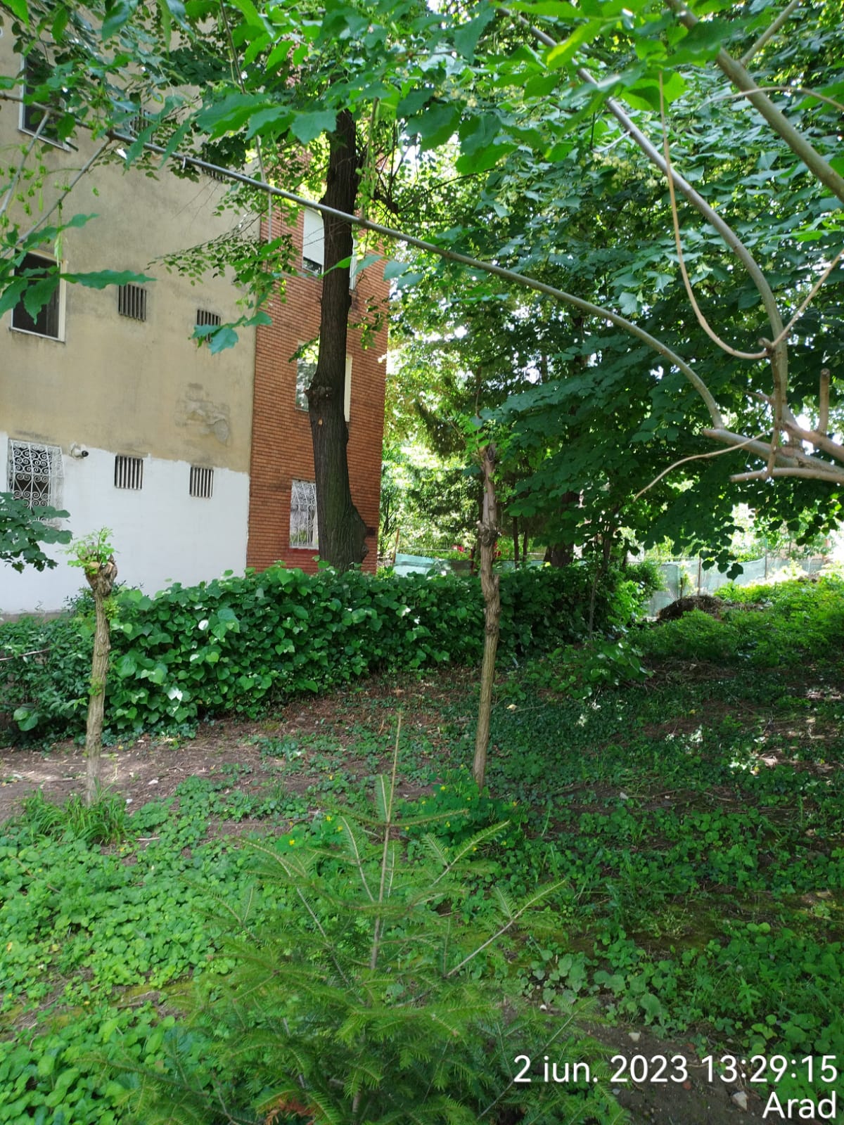 36644c0e-d46a-4a5d-8e46-d21c455aed99