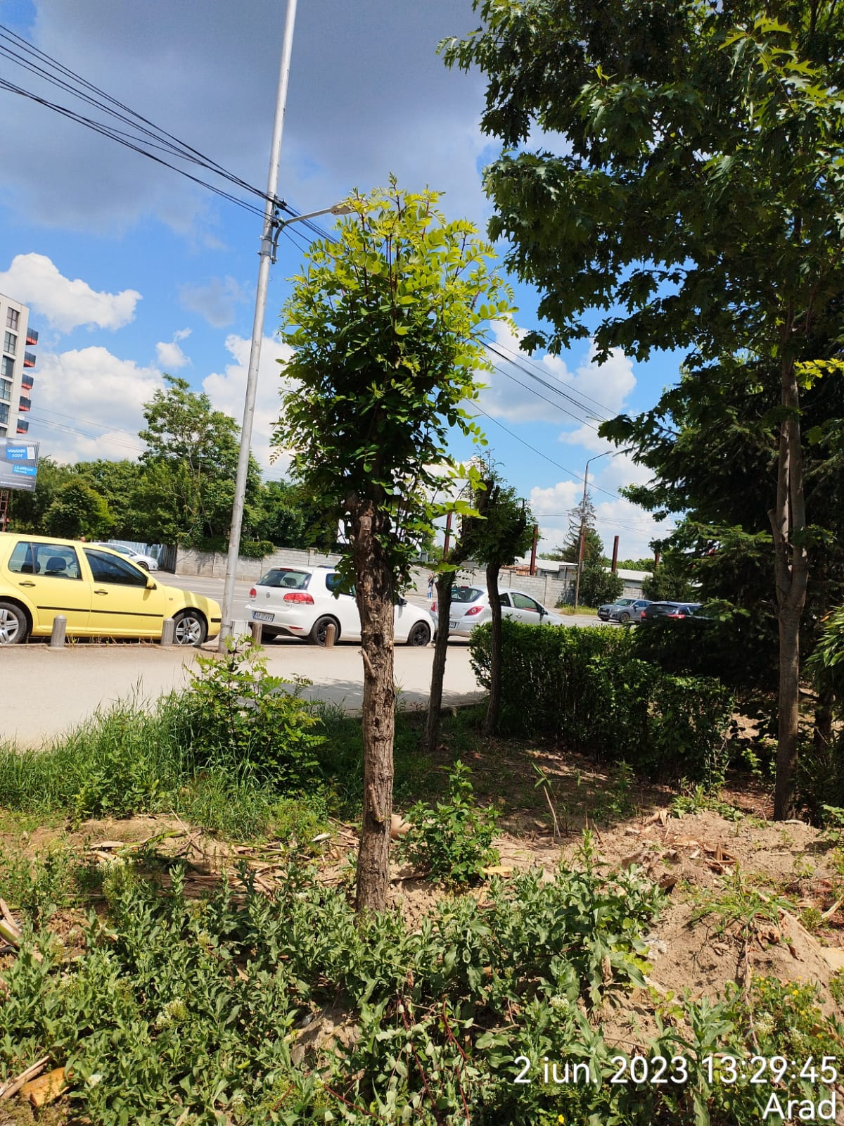 92530dd9-6c88-4215-adc3-b291fdd5a692