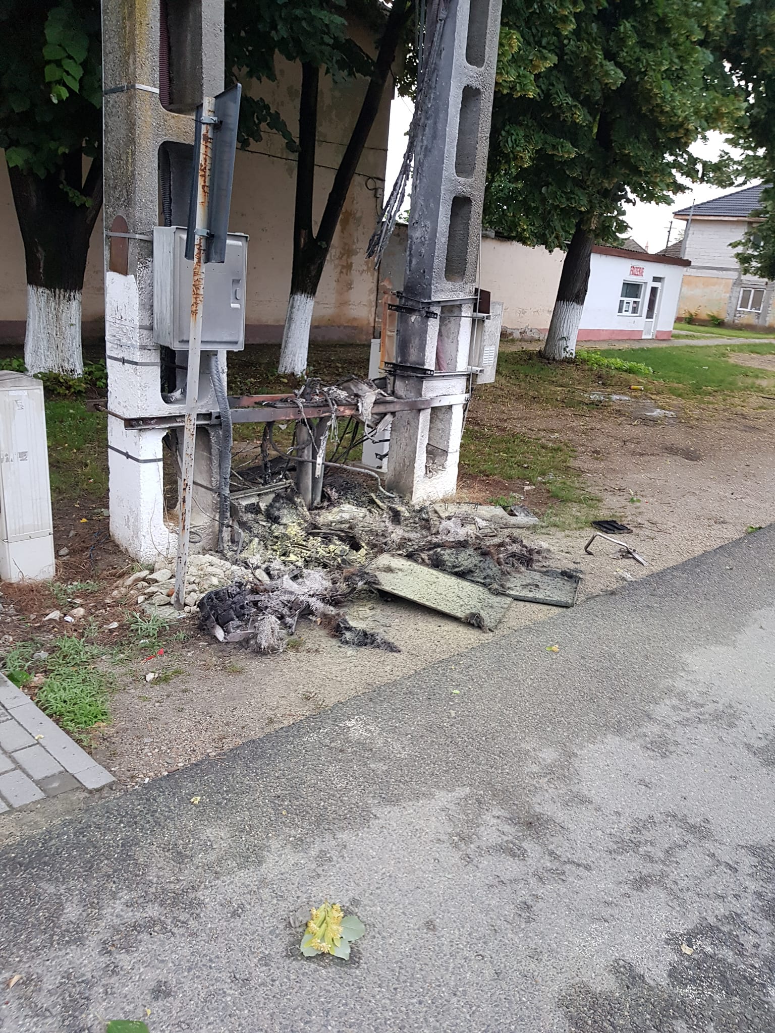 356018900_6517208024968829_7307238277279823609_n