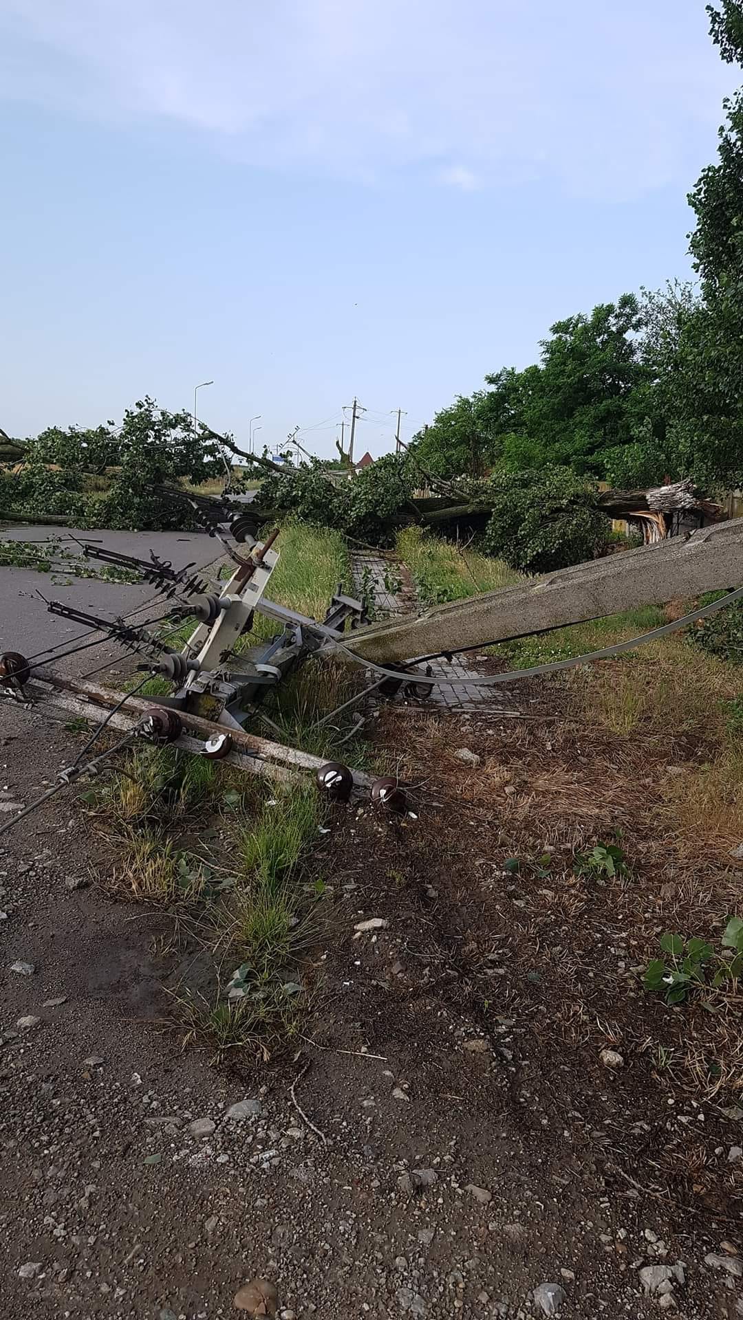 WhatsApp Image 2023-06-24 at 09.45.52