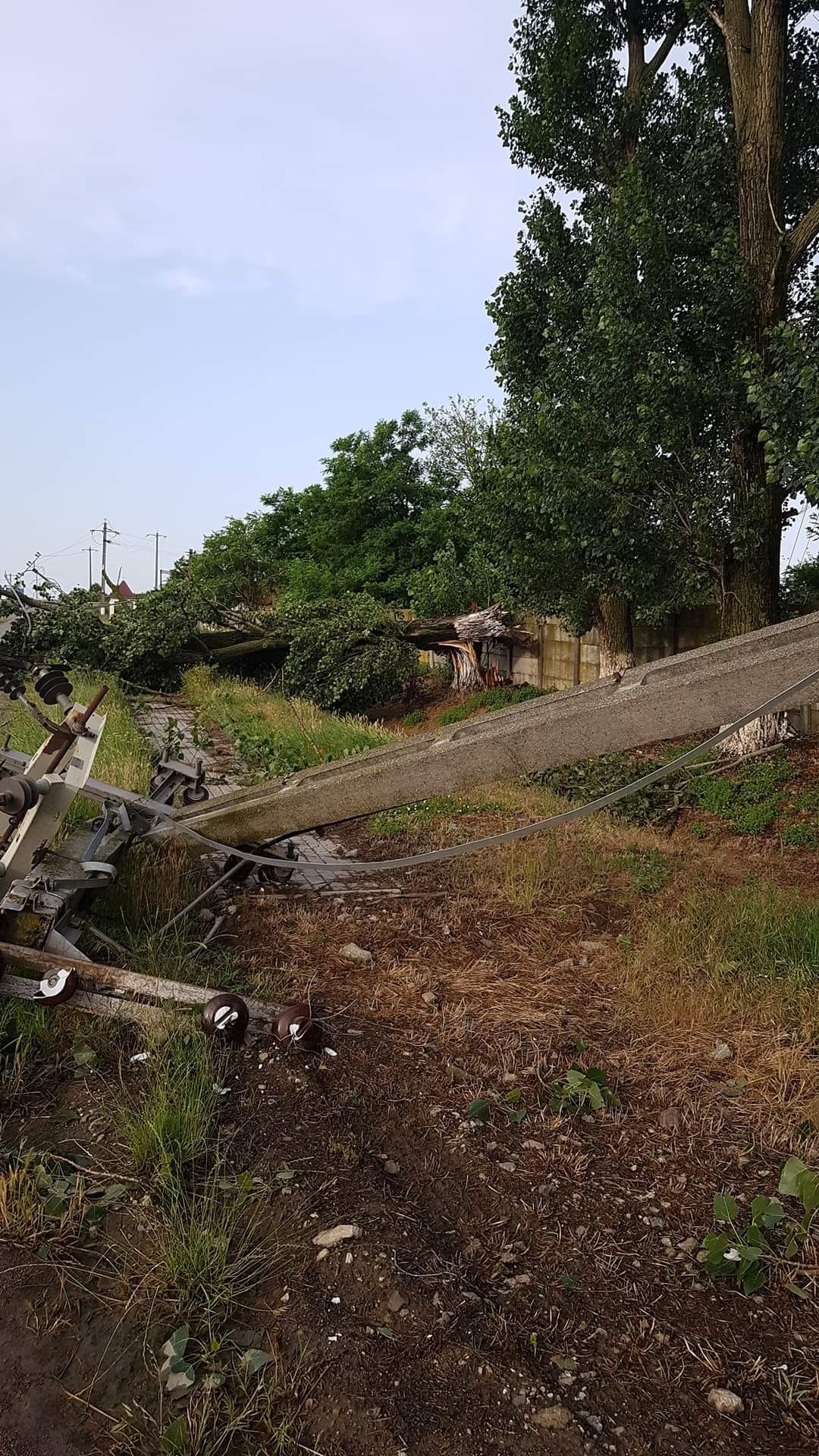 WhatsApp Image 2023-06-24 at 09.45.51 (1)