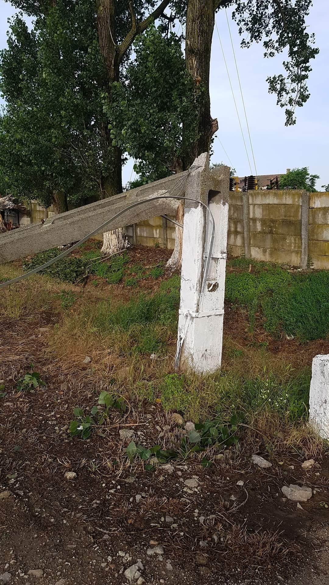 WhatsApp Image 2023-06-24 at 09.45.51