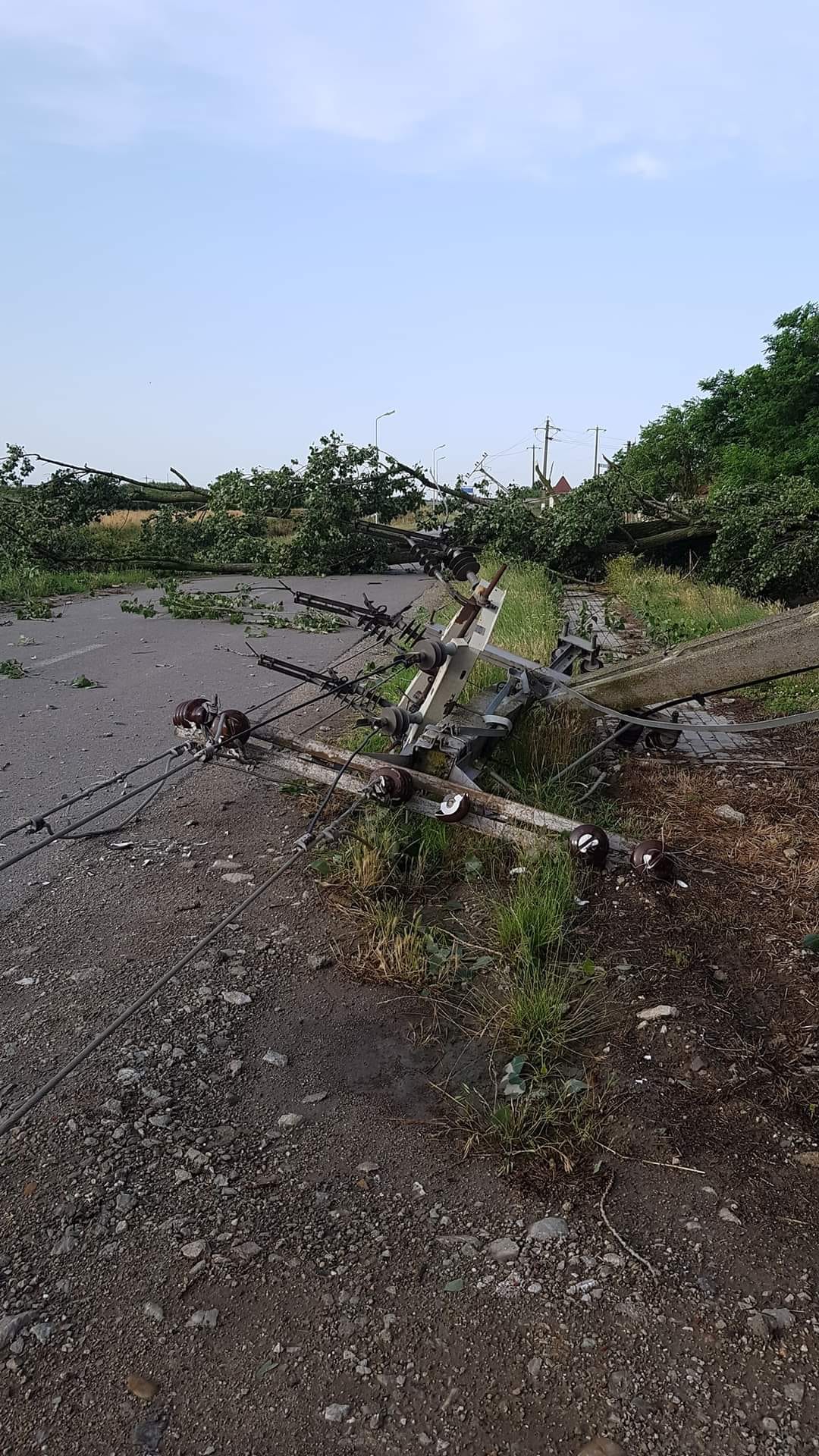 WhatsApp Image 2023-06-24 at 09.45.50 (2)