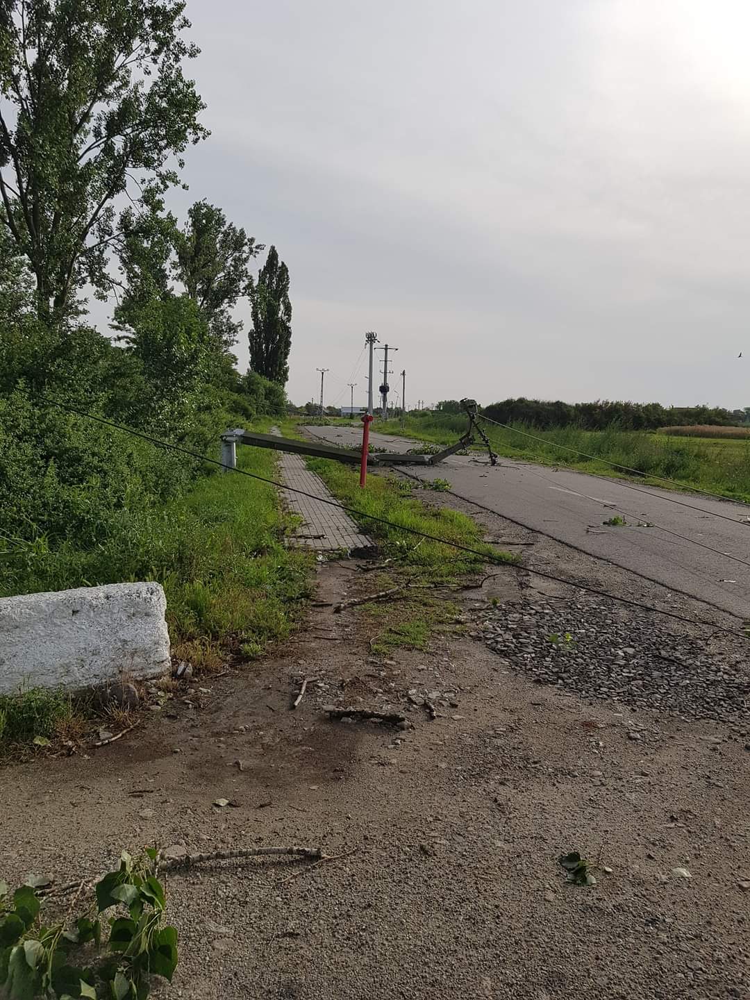 WhatsApp Image 2023-06-24 at 09.45.49