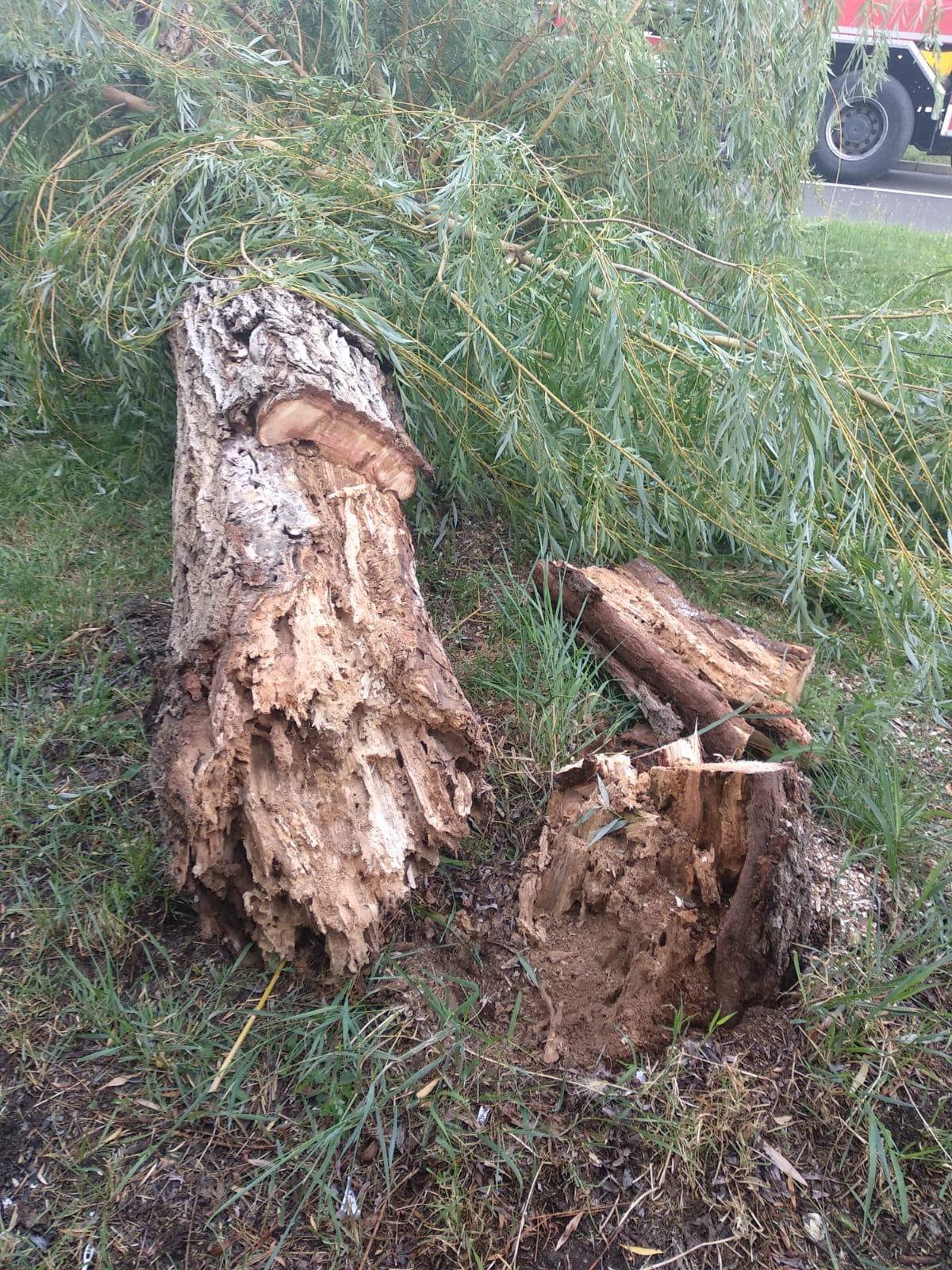 WhatsApp Image 2023-06-24 at 19.40.09