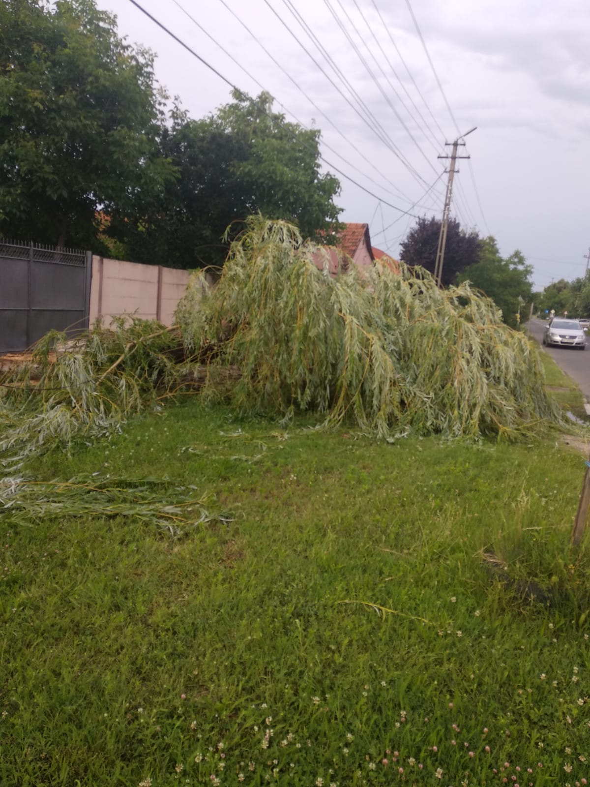 WhatsApp Image 2023-06-24 at 19.40.08 (3)