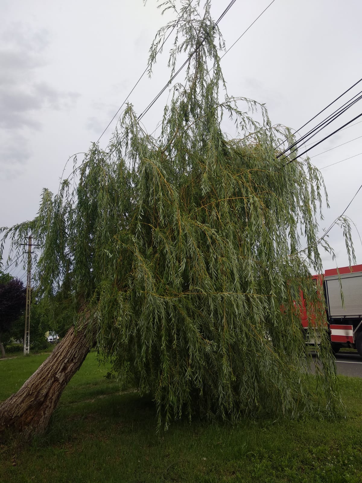 WhatsApp Image 2023-06-24 at 19.40.08 (1)