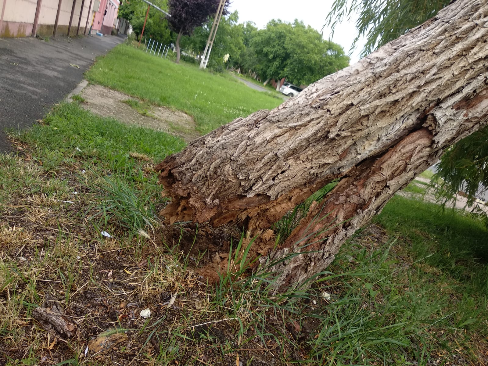 WhatsApp Image 2023-06-24 at 19.40.08