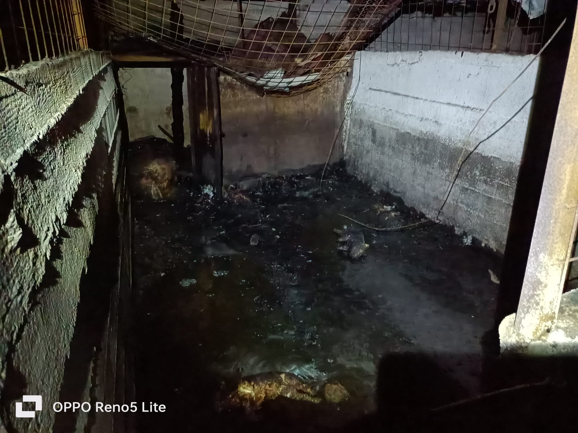 WhatsApp Image 2023-07-23 at 10.07.07