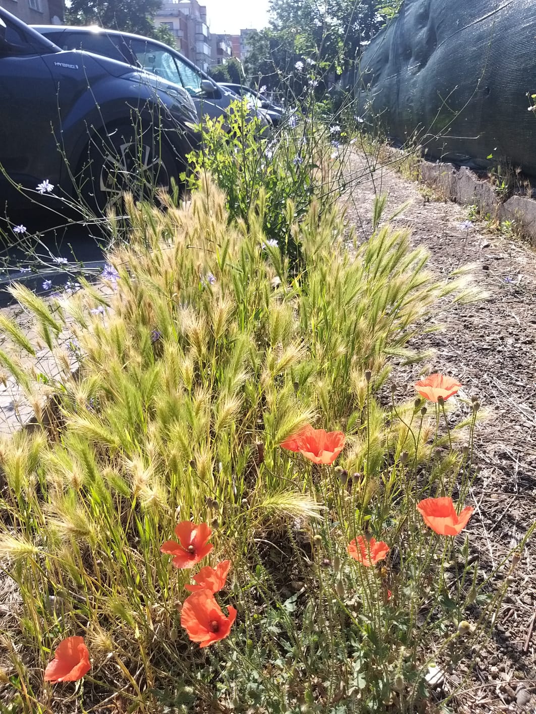 7a758d1f-31b7-43b9-b718-282b5f3775e0