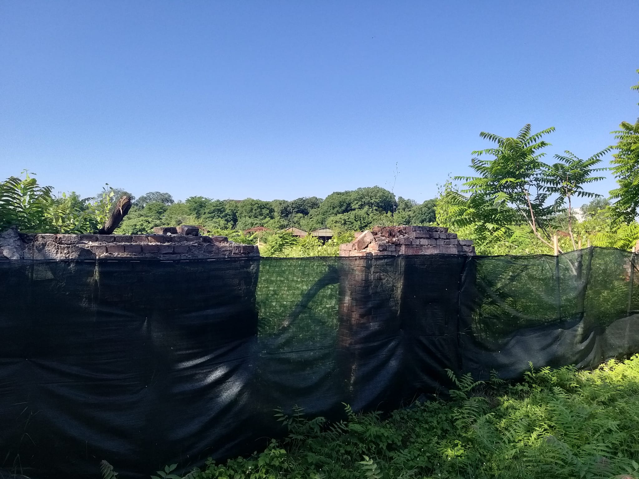 WhatsApp Image 2023-06-29 at 11.55.16 (1)