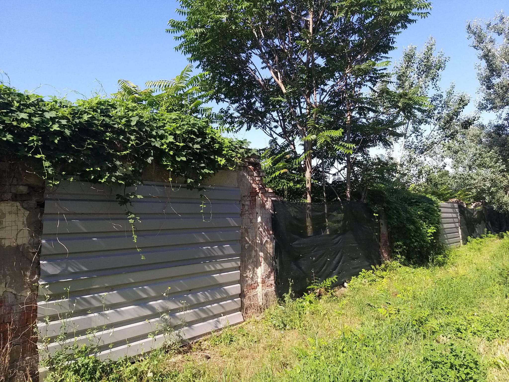 WhatsApp Image 2023-06-29 at 11.55.16 (2)