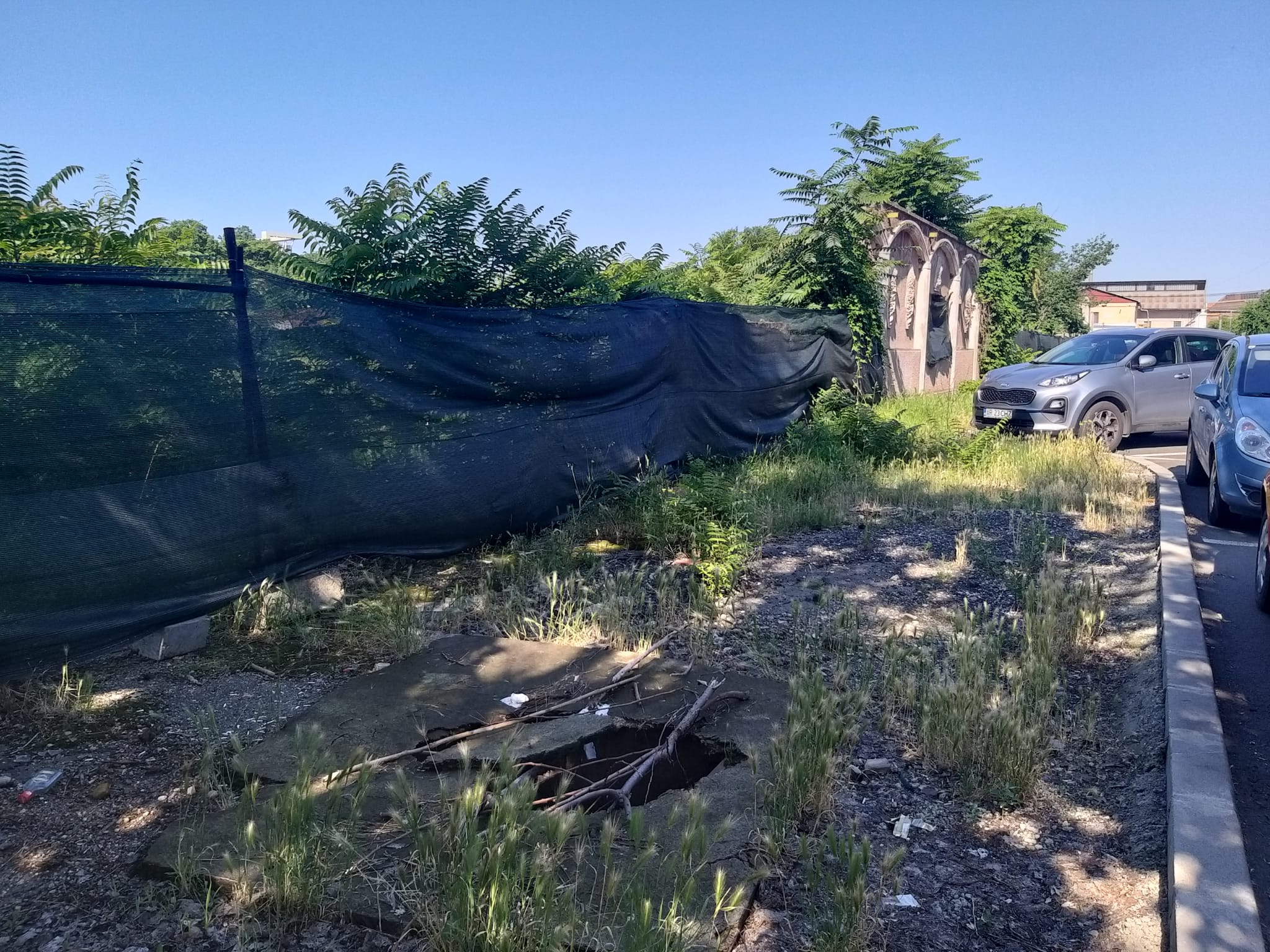 WhatsApp Image 2023-06-29 at 11.55.16