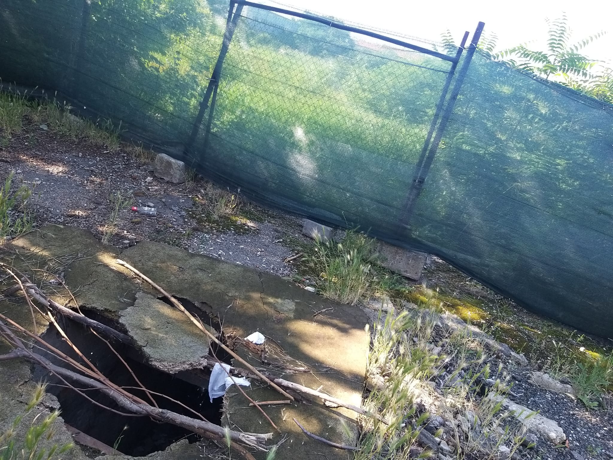 WhatsApp Image 2023-06-29 at 11.55.17 (3)