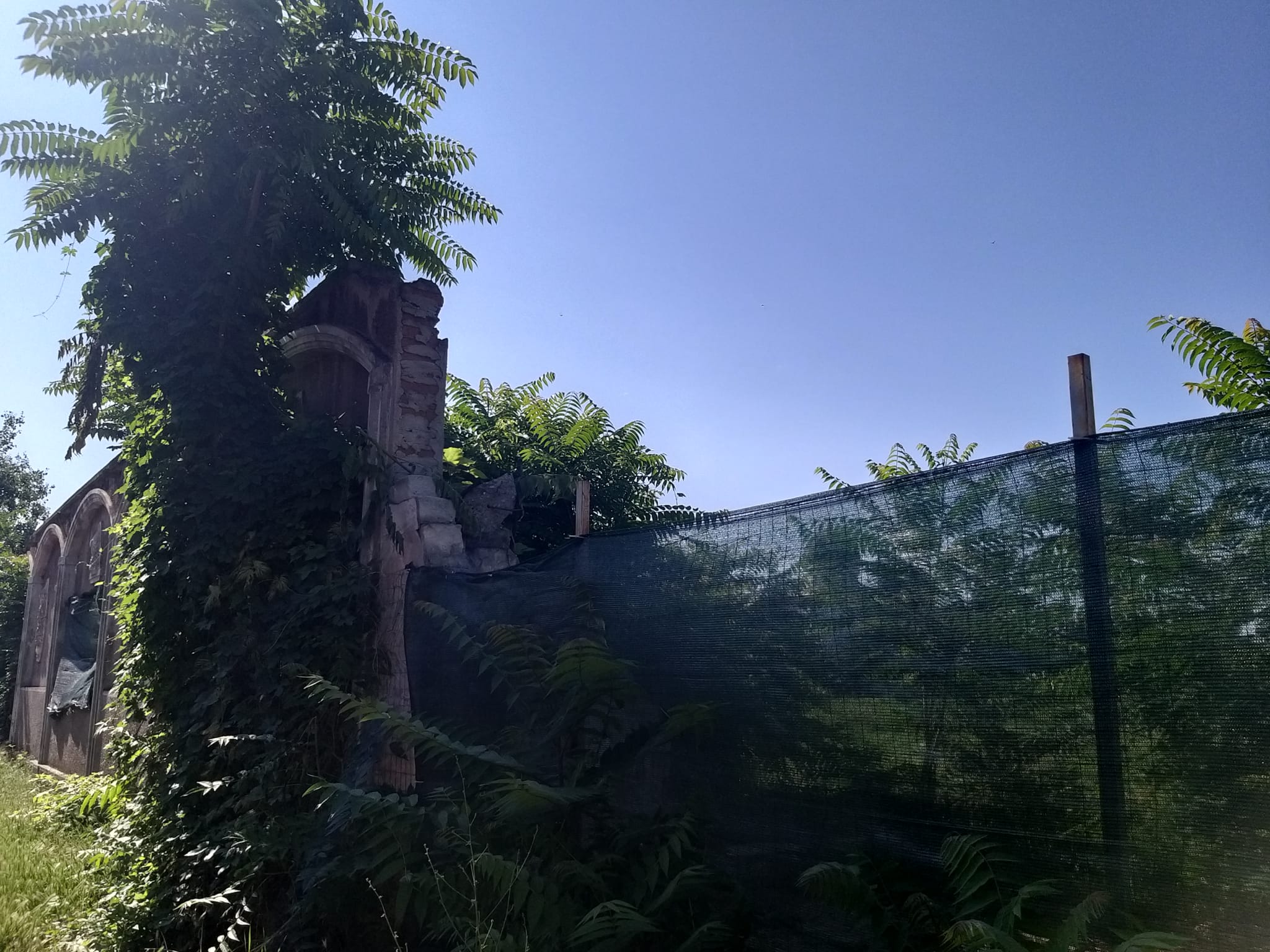 WhatsApp Image 2023-06-29 at 11.55.17