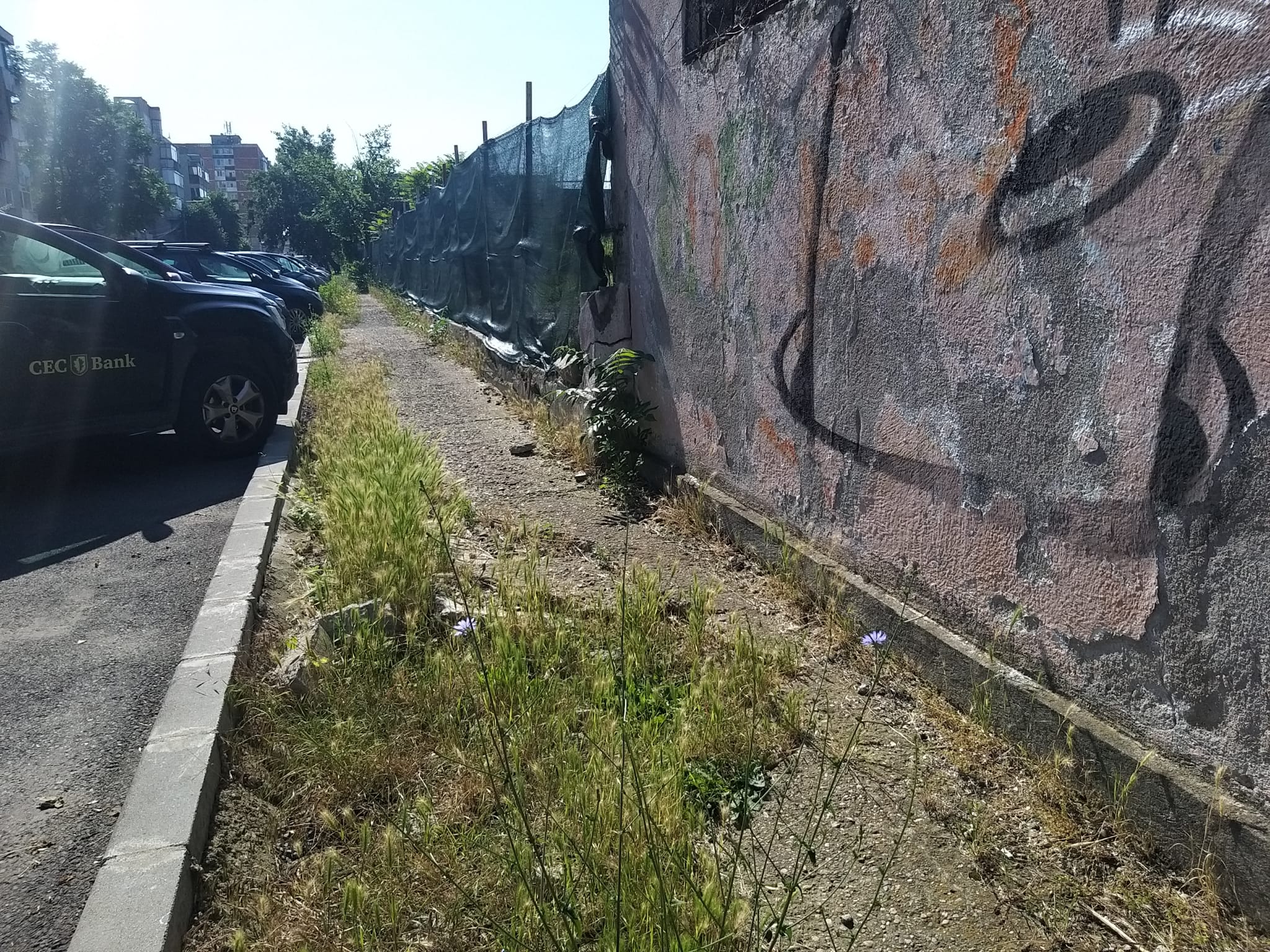 WhatsApp Image 2023-06-29 at 11.55.18 (3)