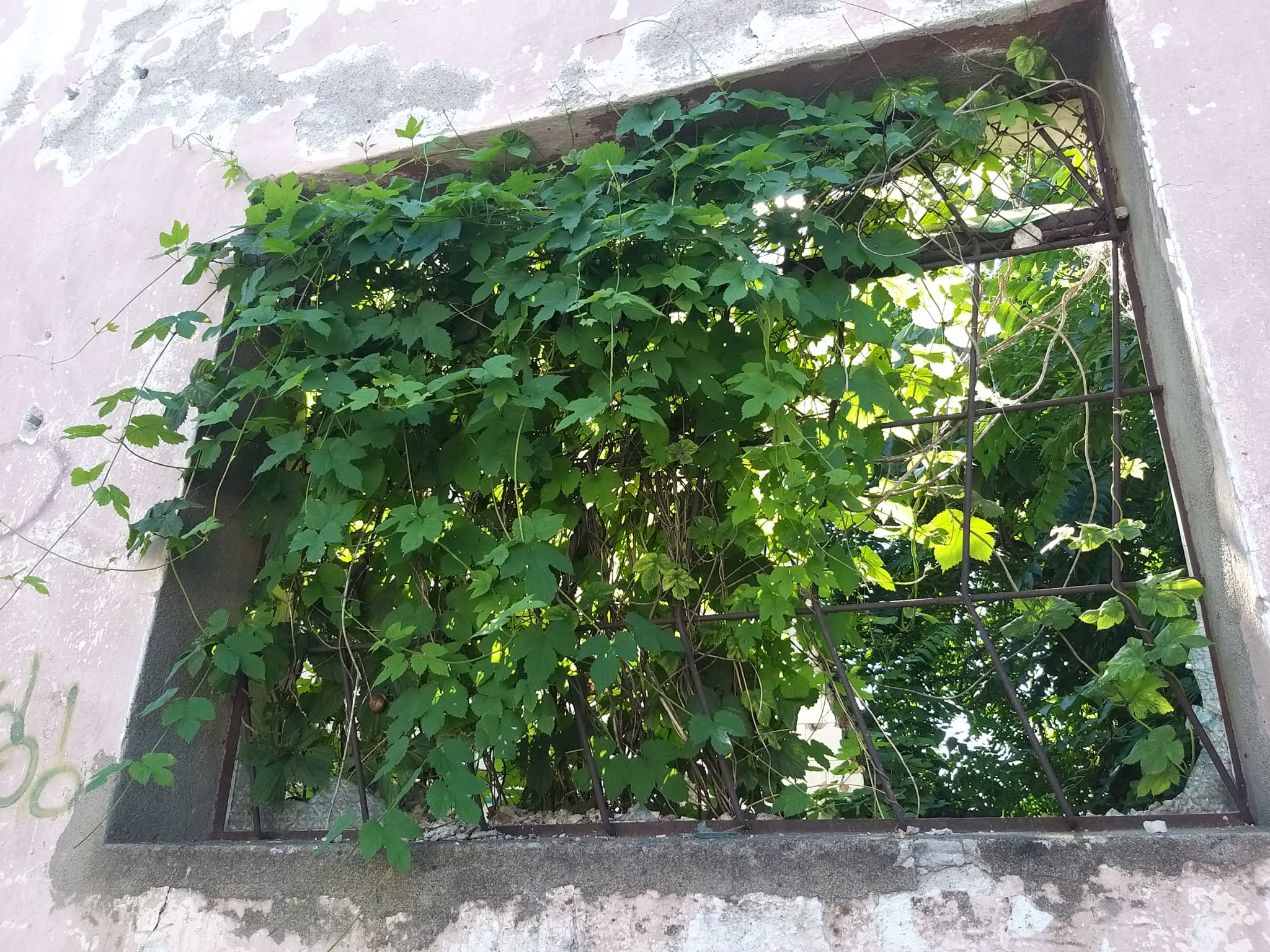 WhatsApp Image 2023-06-29 at 11.55.18