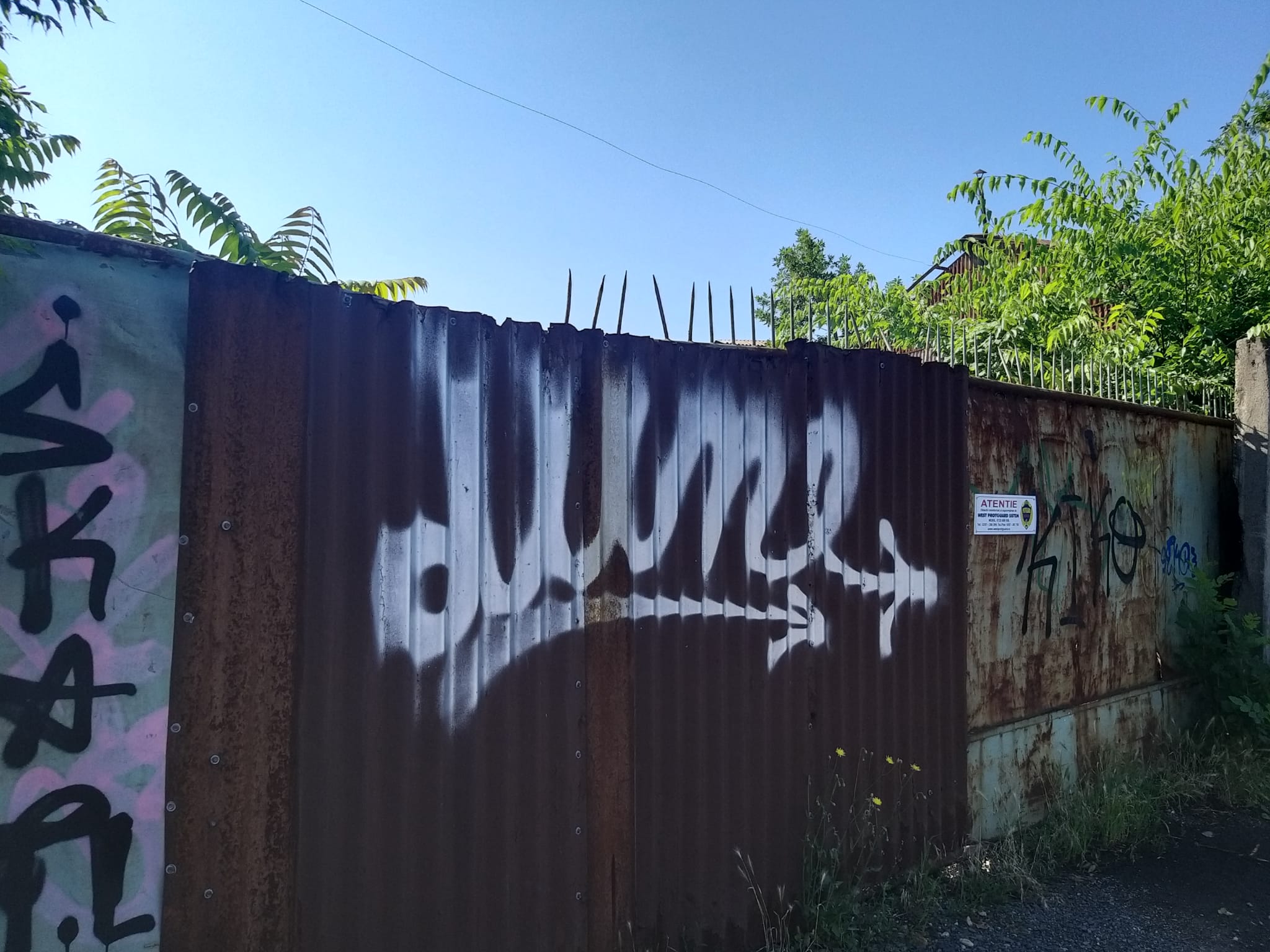 WhatsApp Image 2023-06-29 at 11.55.19 (2)