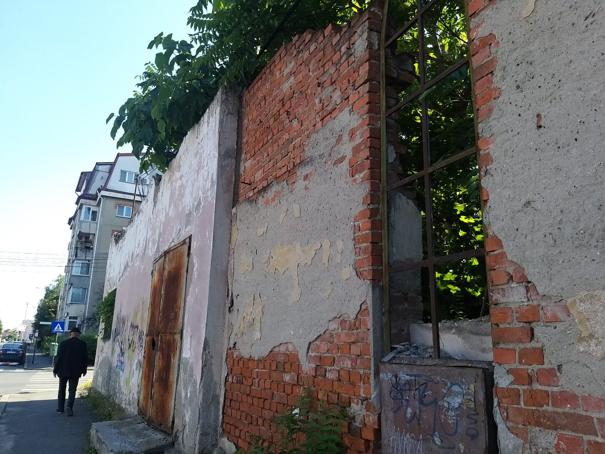 WhatsApp Image 2023-06-29 at 11.55.19 (3)