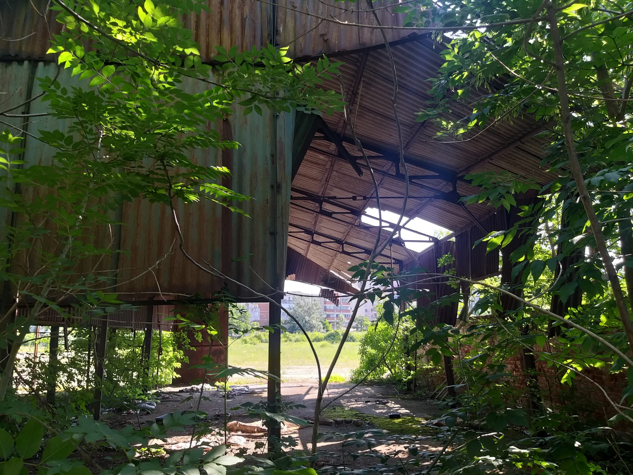 WhatsApp Image 2023-06-29 at 11.55.20 (1)