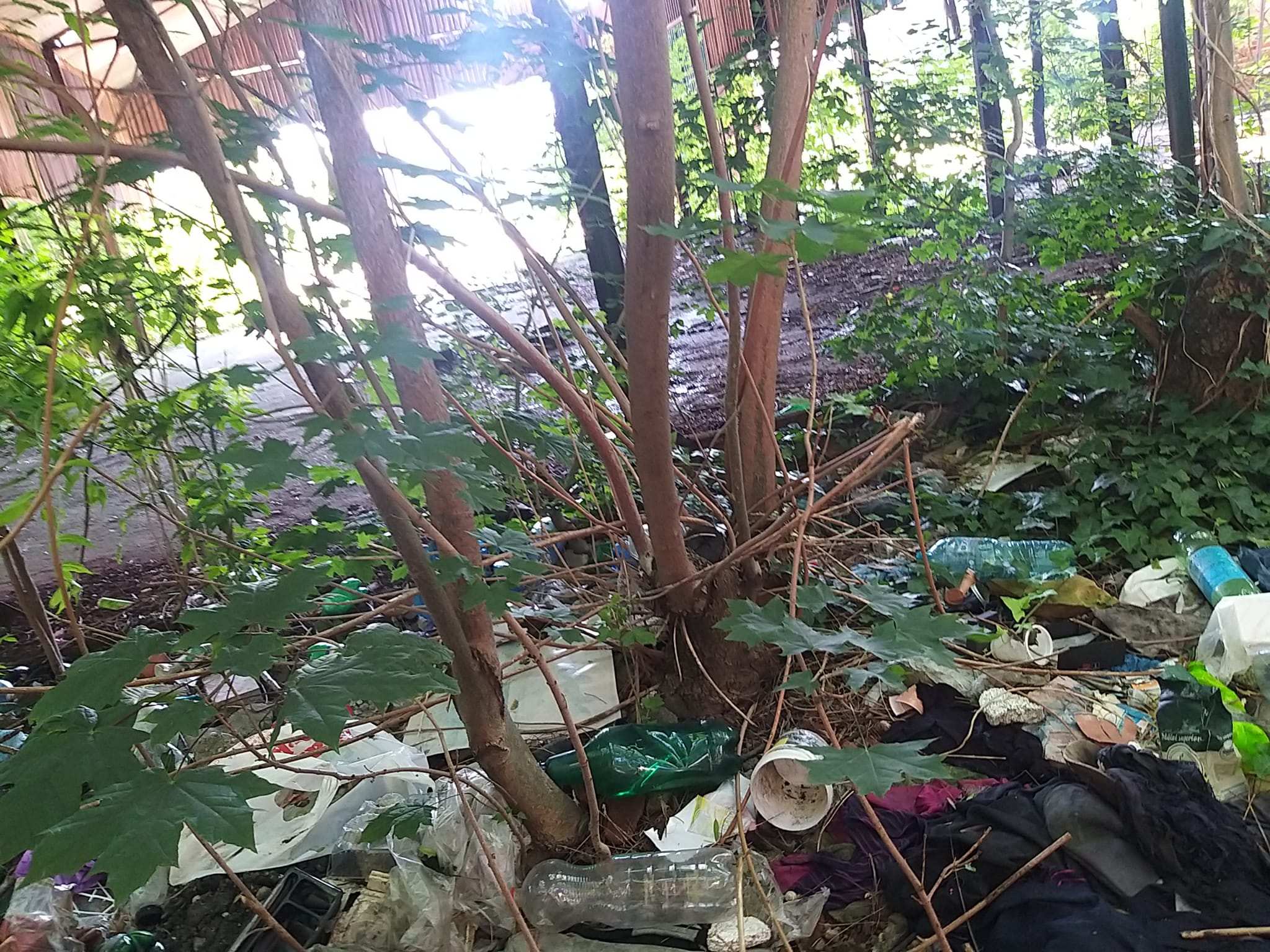 WhatsApp Image 2023-06-29 at 11.55.20 (2)