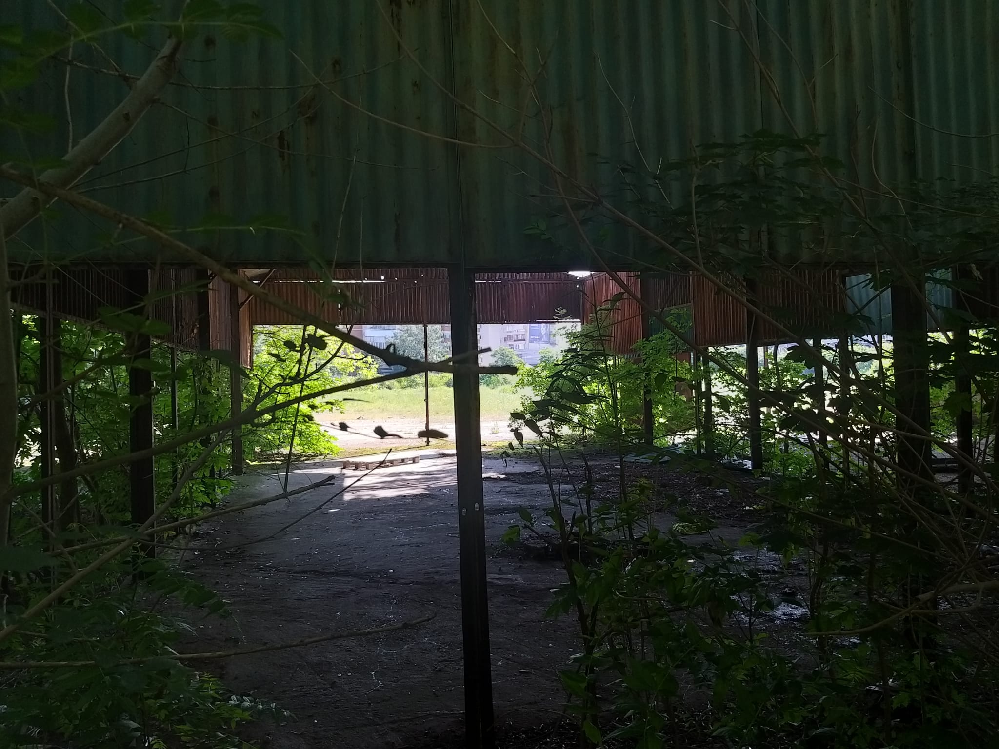 WhatsApp Image 2023-06-29 at 11.55.20 (3)