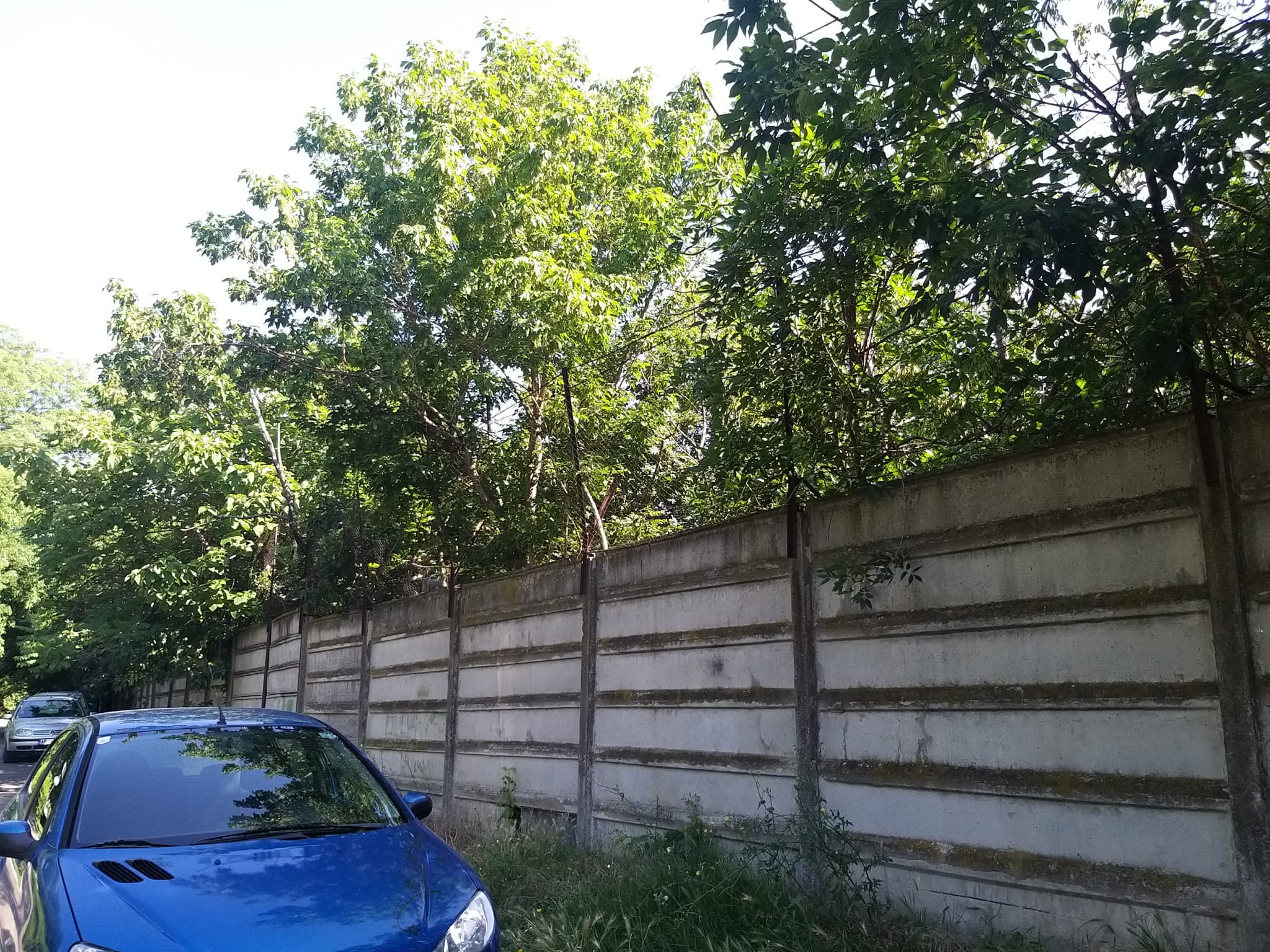 WhatsApp Image 2023-06-29 at 11.55.20