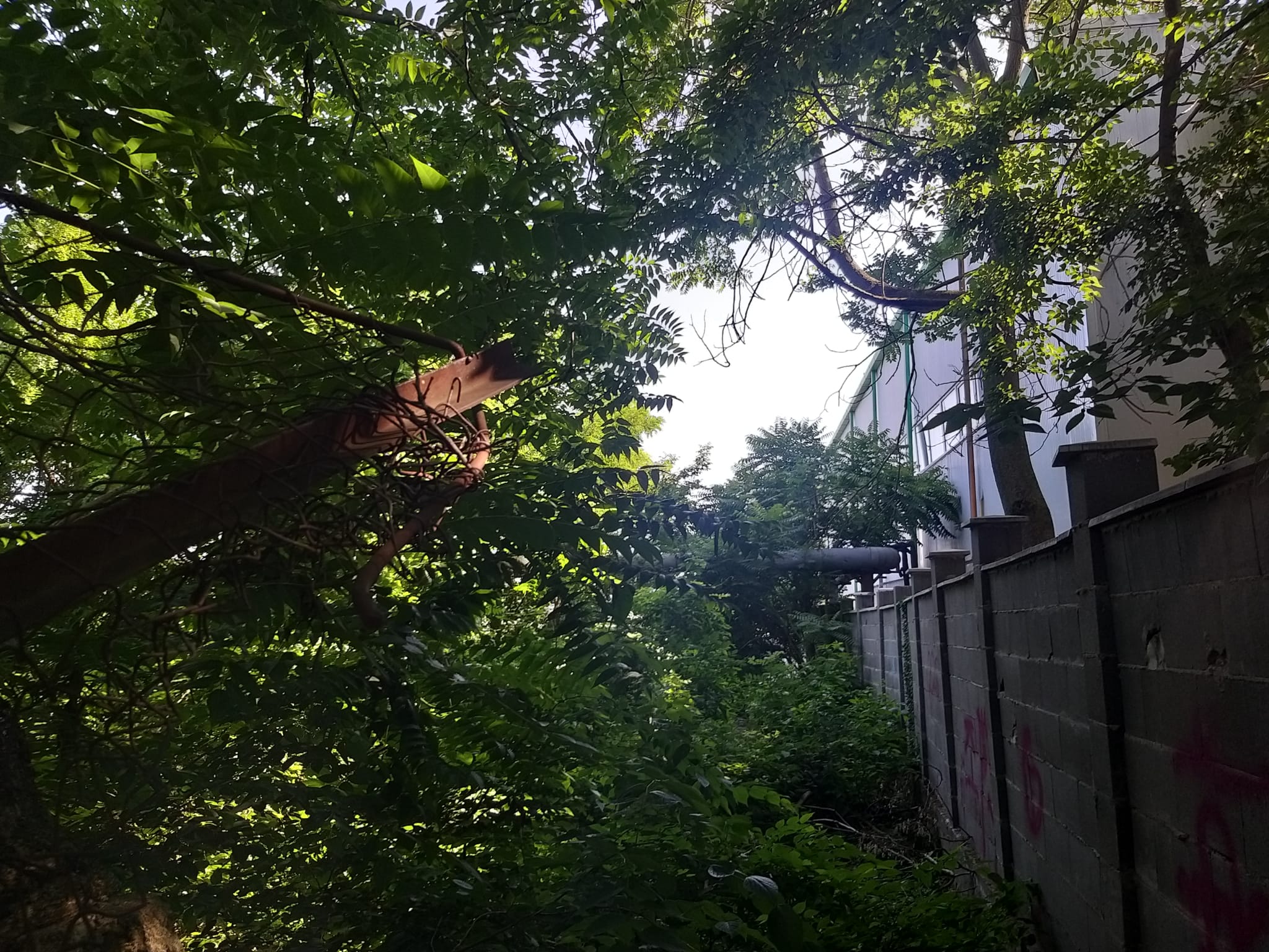 WhatsApp Image 2023-06-29 at 11.55.21 (1)