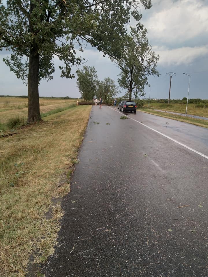 WhatsApp Image 2023-07-21 at 21.28.12