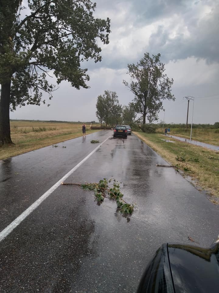 WhatsApp Image 2023-07-21 at 21.28.11 (1)