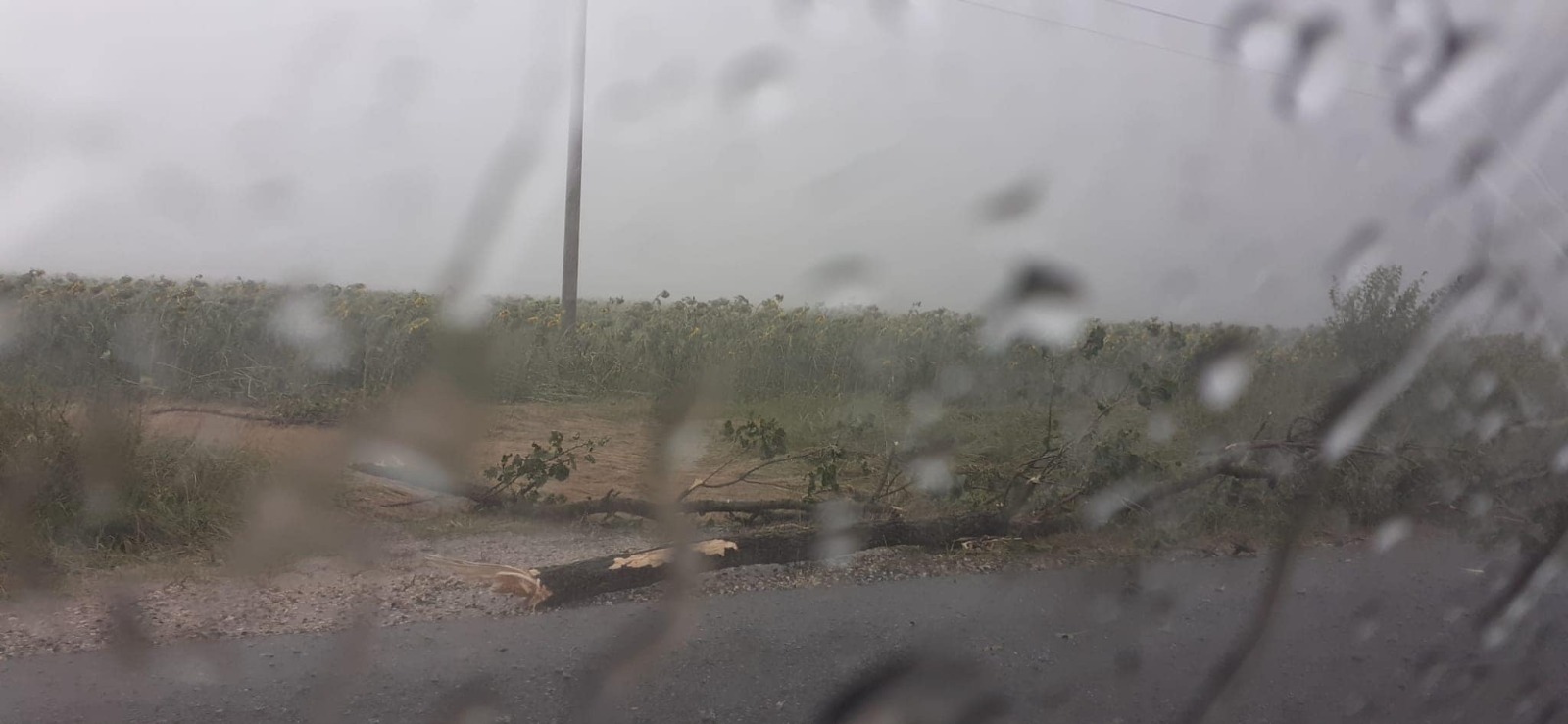 WhatsApp Image 2023-07-21 at 21.28.11