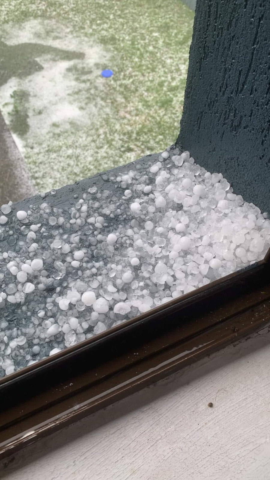 WhatsApp Image 2023-07-21 at 21.08.38 (1)