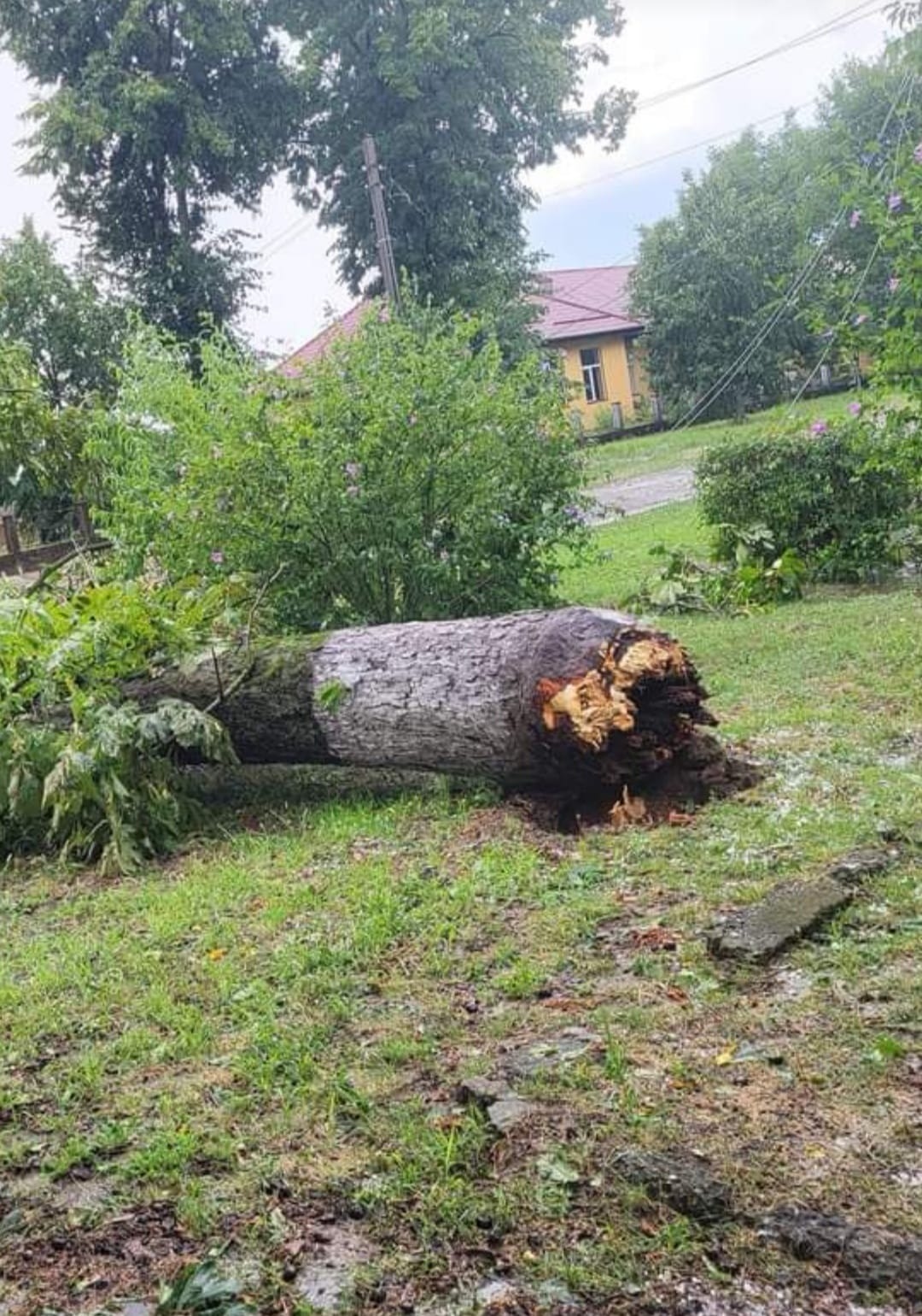 WhatsApp Image 2023-07-21 at 21.08.38