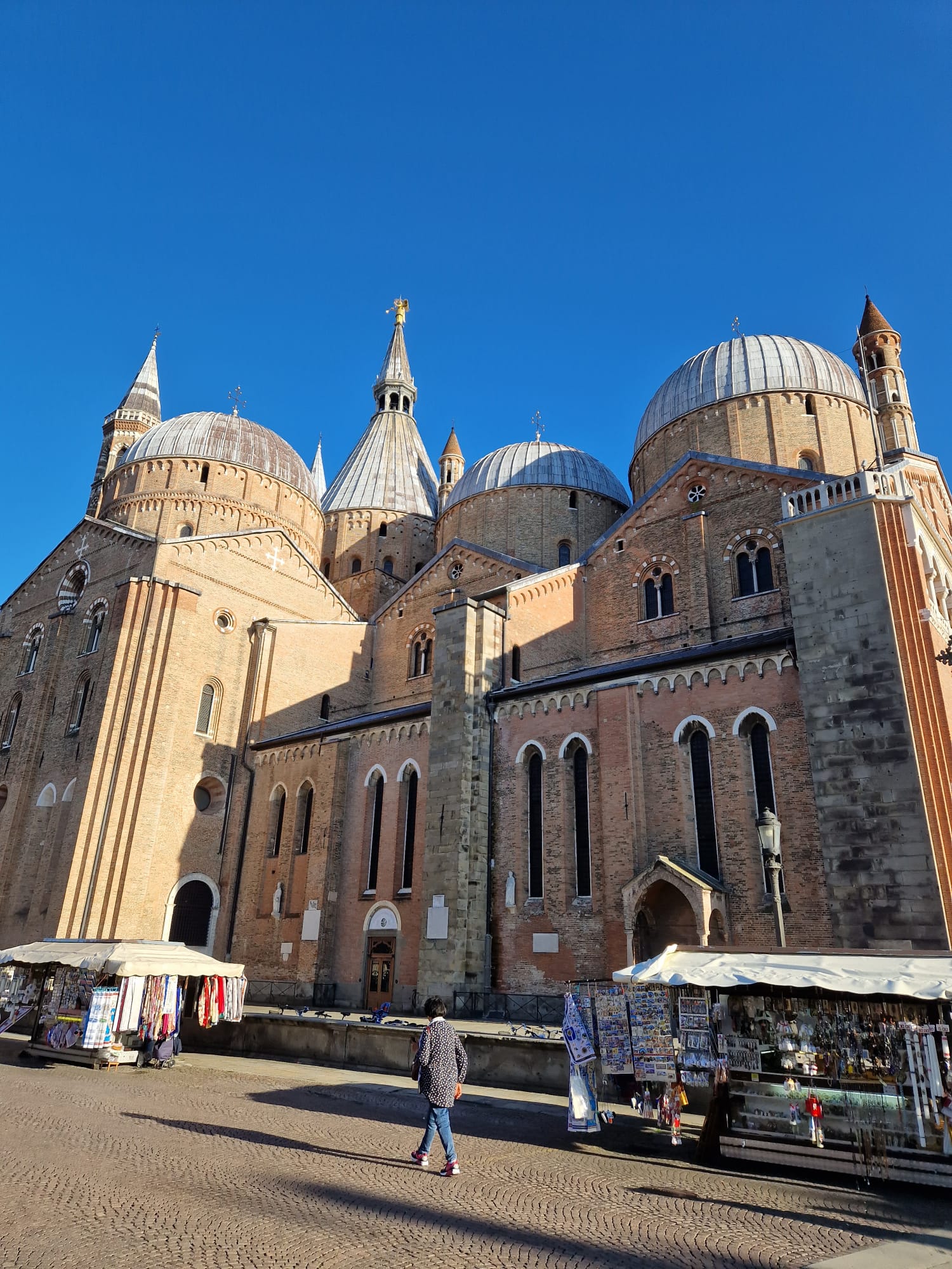 WhatsApp Image 2023-10-02 at 15.41.57