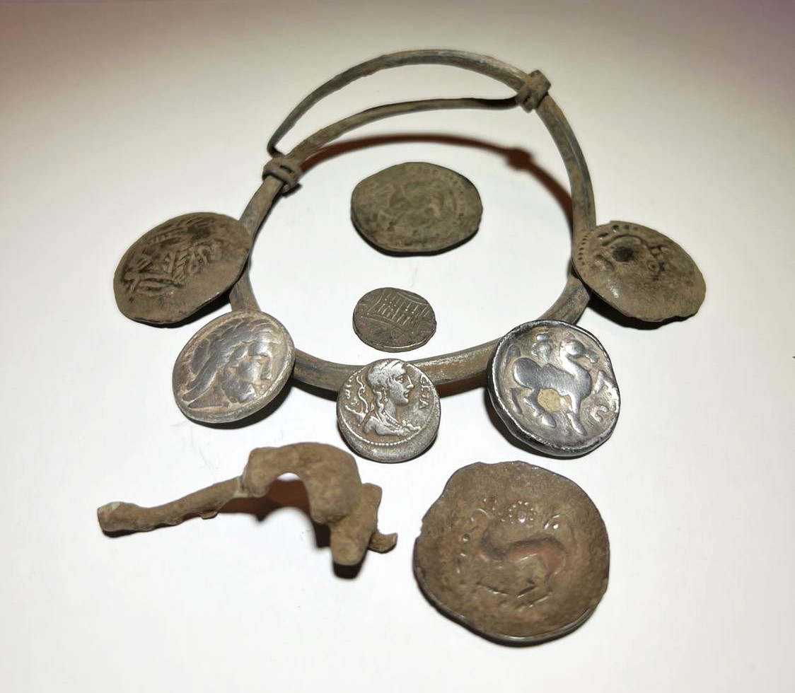 7187873piesepredatedupadetectie