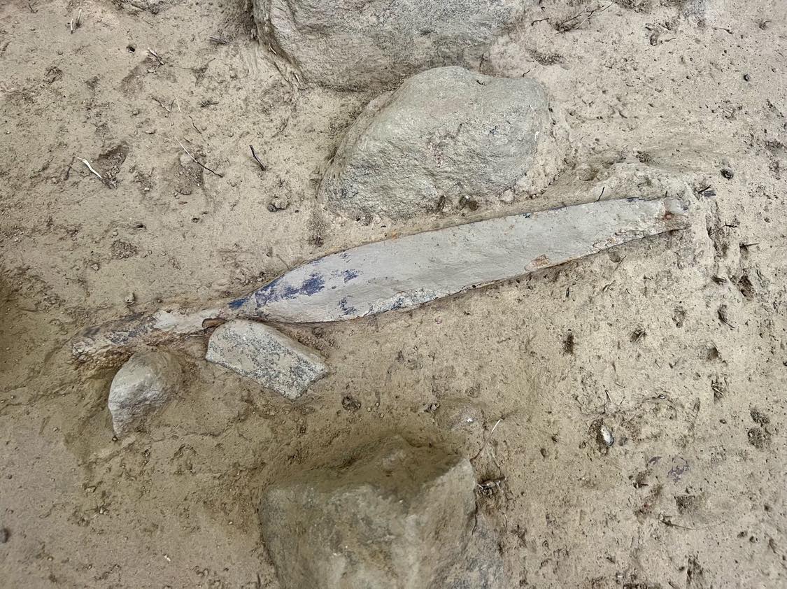 7187846campaniatrei2