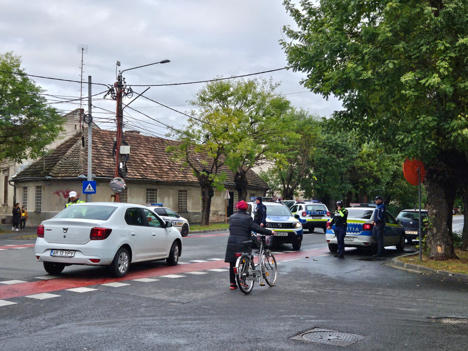 WhatsApp Image 2023-11-15 at 12.03.08