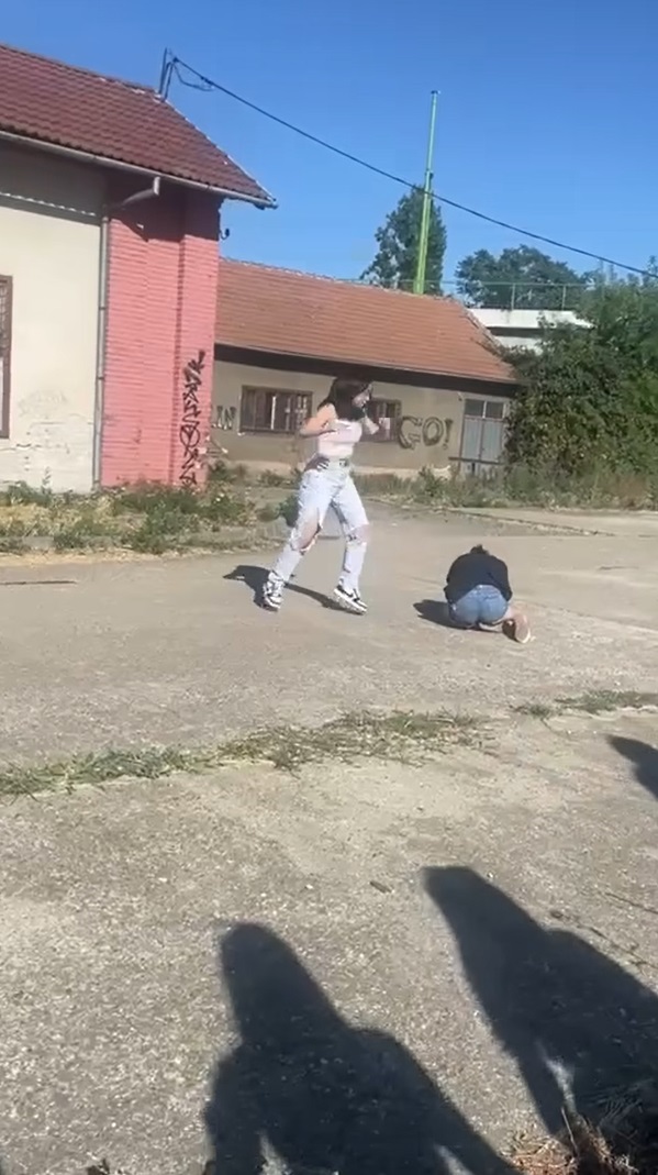 Captură ecran (2730)