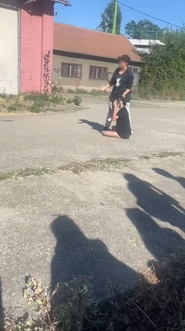 Captură ecran (2727) (1)