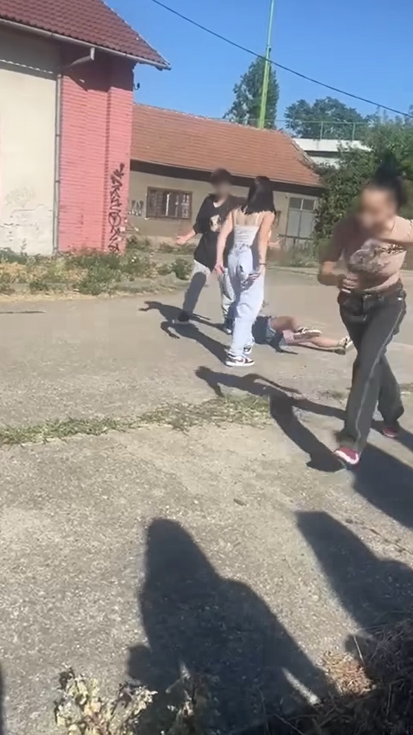 Captură ecran (2729) (1)