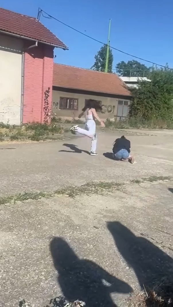 Captură ecran (2731)