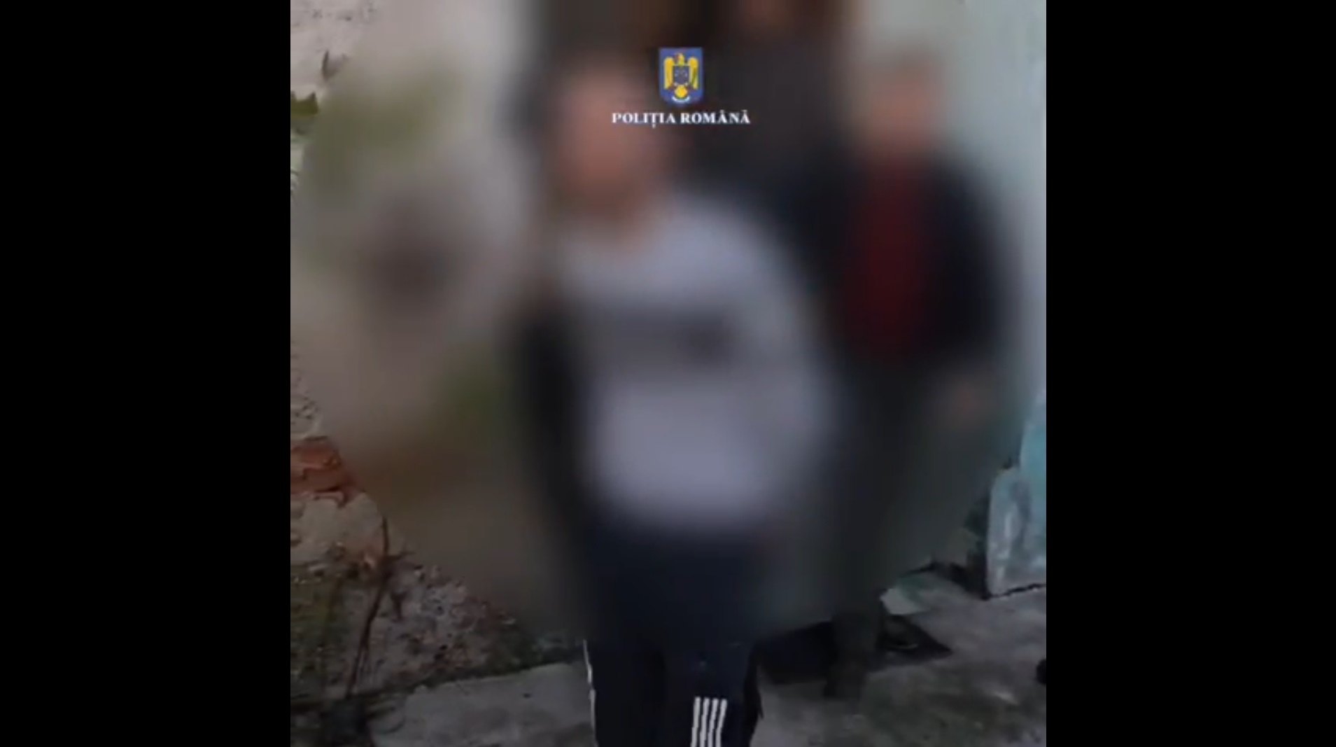 Captură ecran (2722)