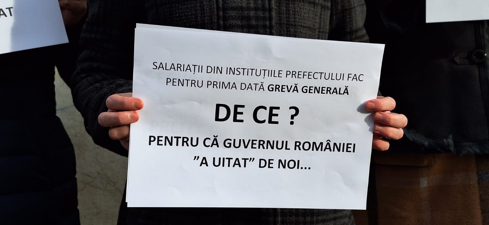 WhatsApp Image 2023-11-23 at 11.19.05