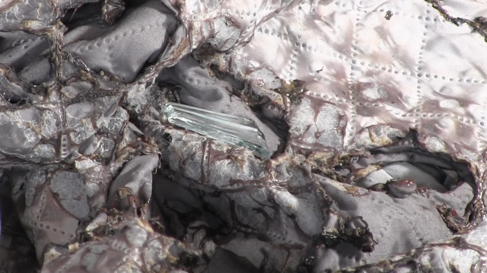 Captură ecran (2673)